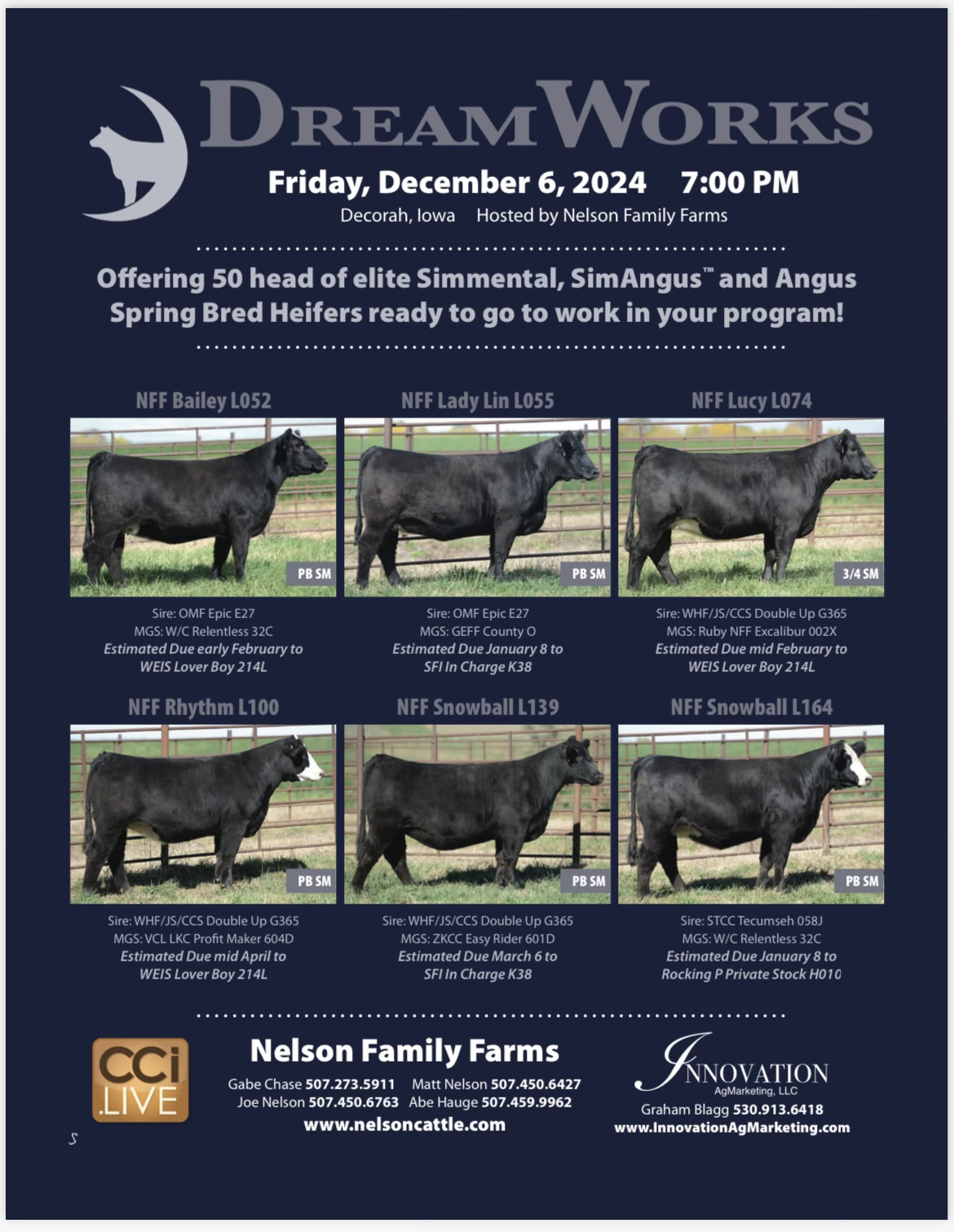Nelson Sale Flyer